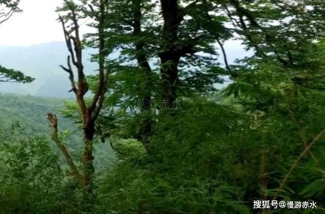 真的好用!清欲寡欢是什么意思?问答社区帮你解答疑惑