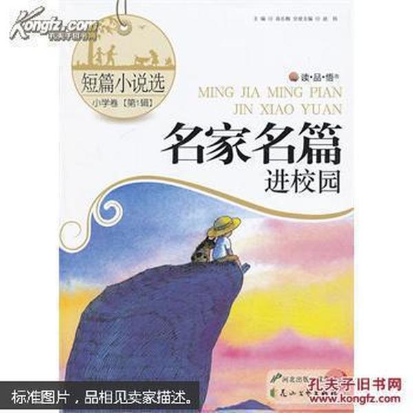 水电站生态流量下泄监测系统