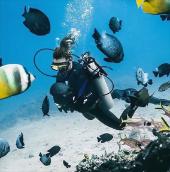 中原突围算成功吗？皮旅、鄂东独2旅，才是藏在突围中的英雄部队