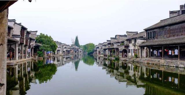 救援贪玩的大象