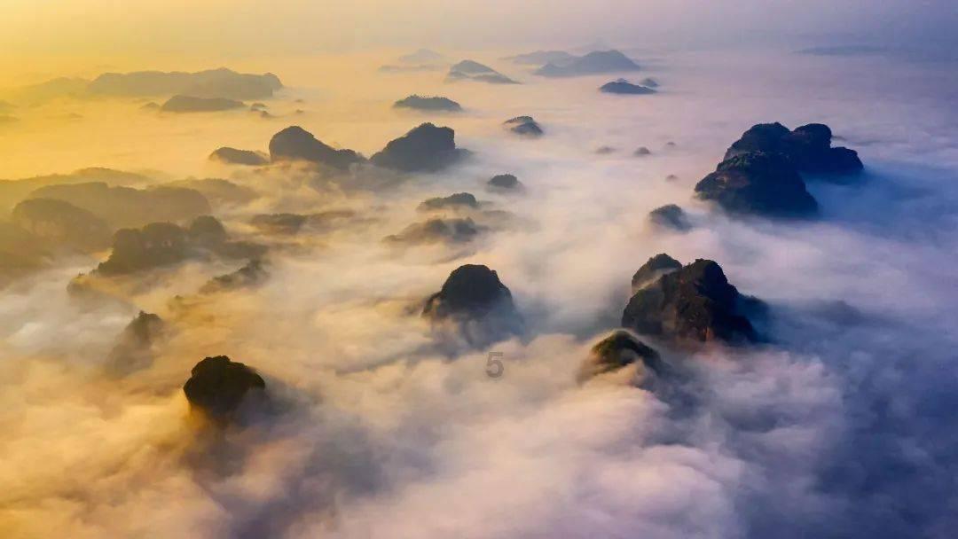 泡沫森林